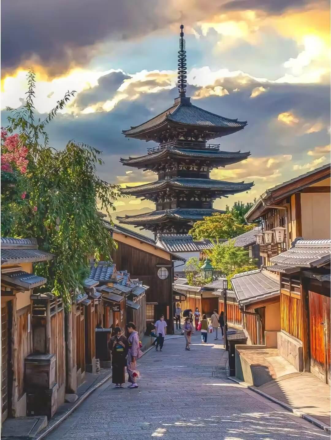 写真4
